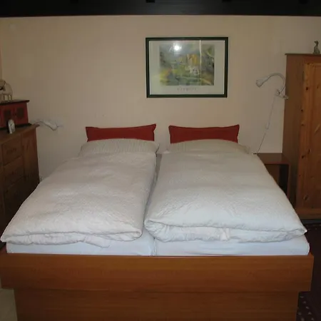 Otel Altes Zollhaus Am Klinikum 3*