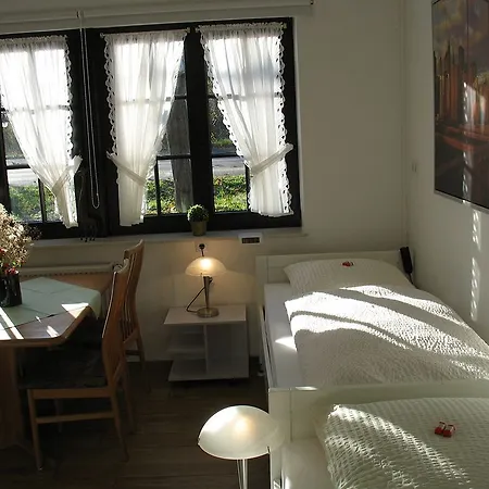 Otel Altes Zollhaus Am Klinikum 3*
